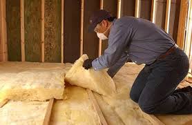 Best Basement Insulation  in Danville, VA