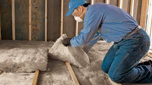 Best Commercial Insulation Services  in Danville, VA